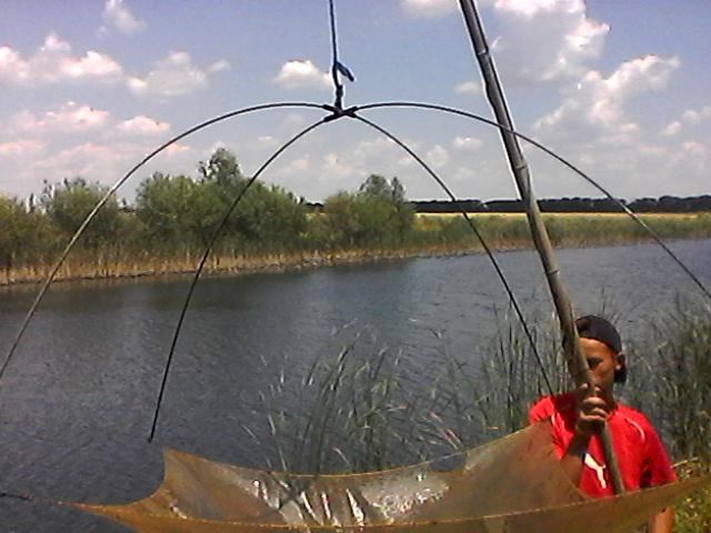 Photo0222