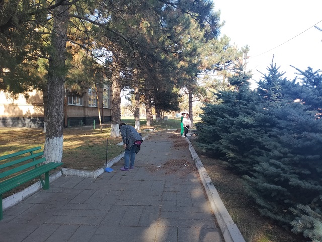 foto 2023 11 02 15 09 6